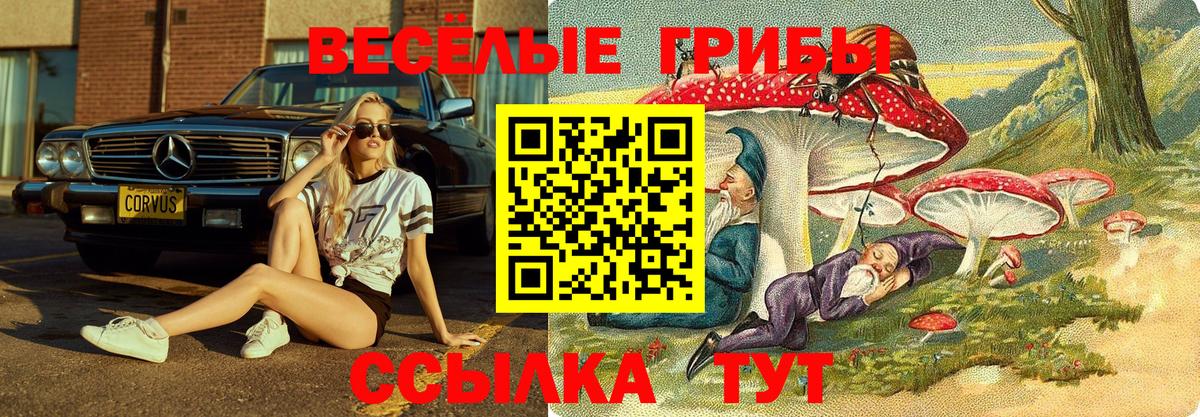 дарнет шоп  Галлюциногенные грибы Cubensis  Галлюциногенные грибы ЛСД  Вход с VPN  Березники 