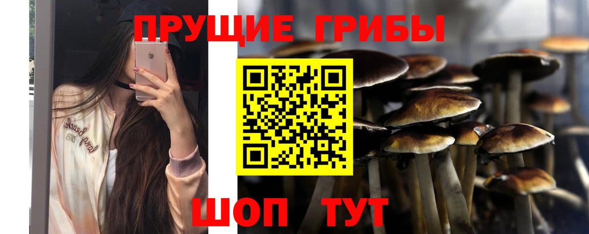 Псилоцибиновые грибы MAGIC MUSHROOMS Березники